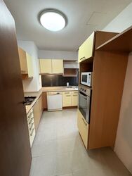 The Balmoral Spring (D10), Apartment #525113441